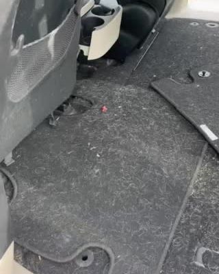Before: minivan rear carpet covered in pet hair